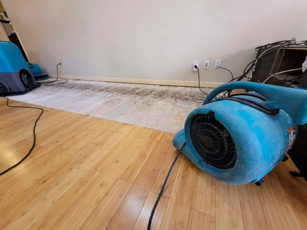 Professional Ceiling Water Damage Repair technician working in Cheltenham, PA